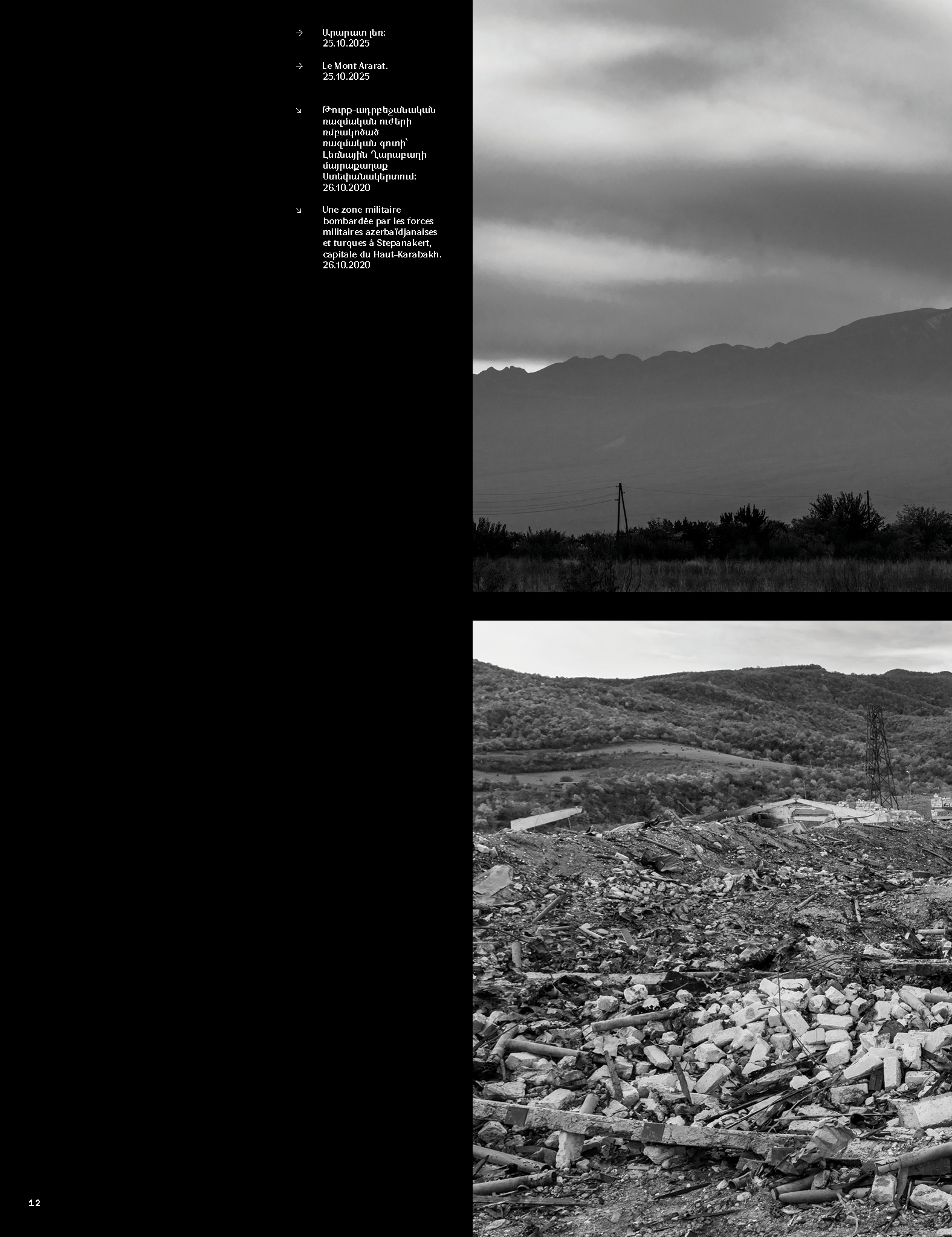 Վիրավոր արծիվը page 10