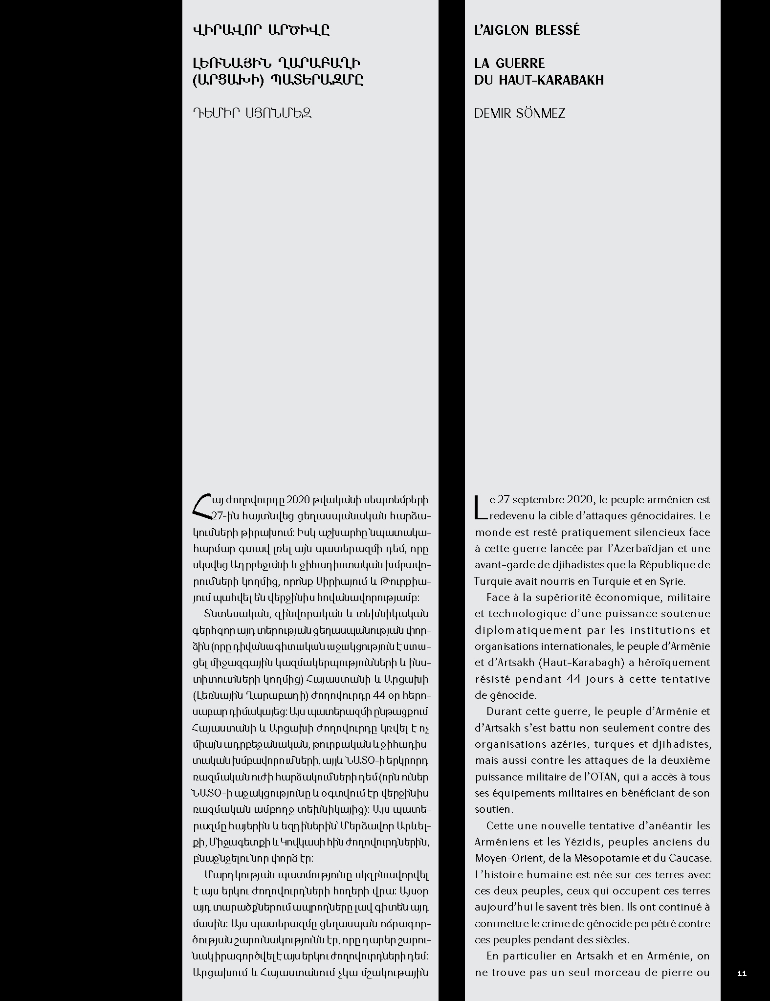 Վիրավոր արծիվը page 9