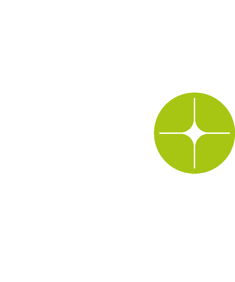 fest logo